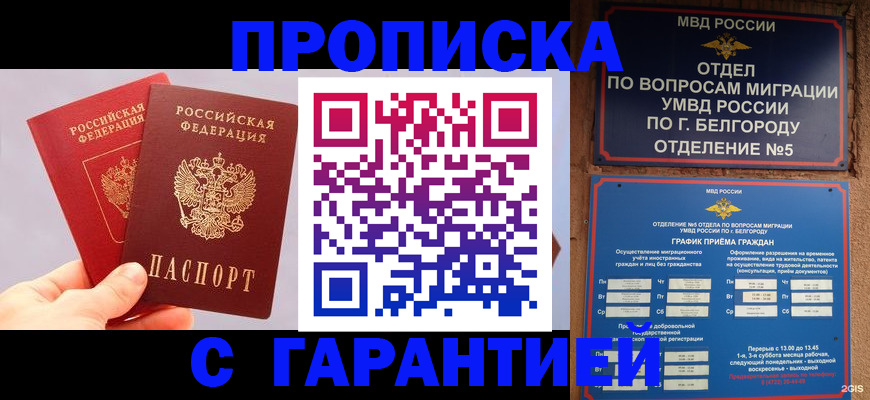 прописка 2025 в Сольцах